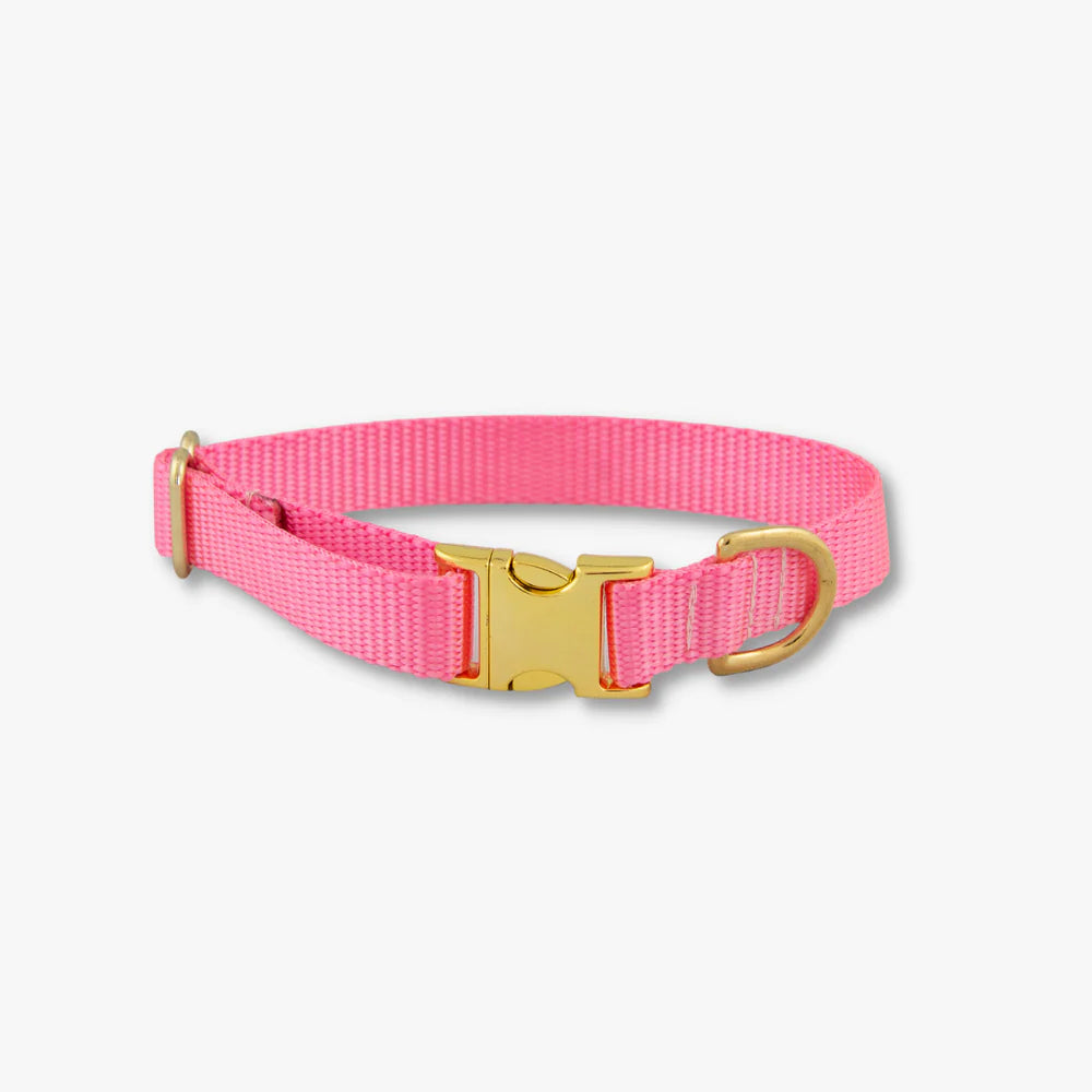 Barbie Dog Collar