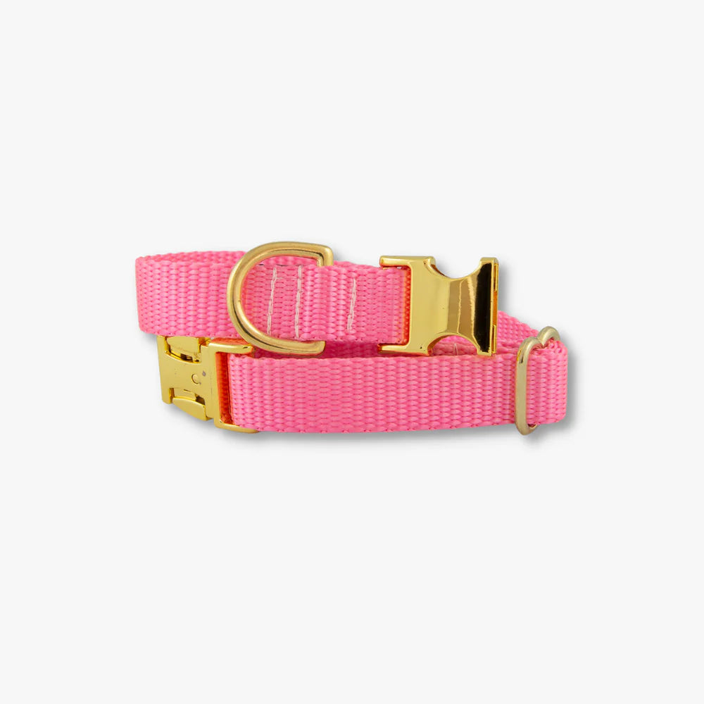 Barbie Dog Collar