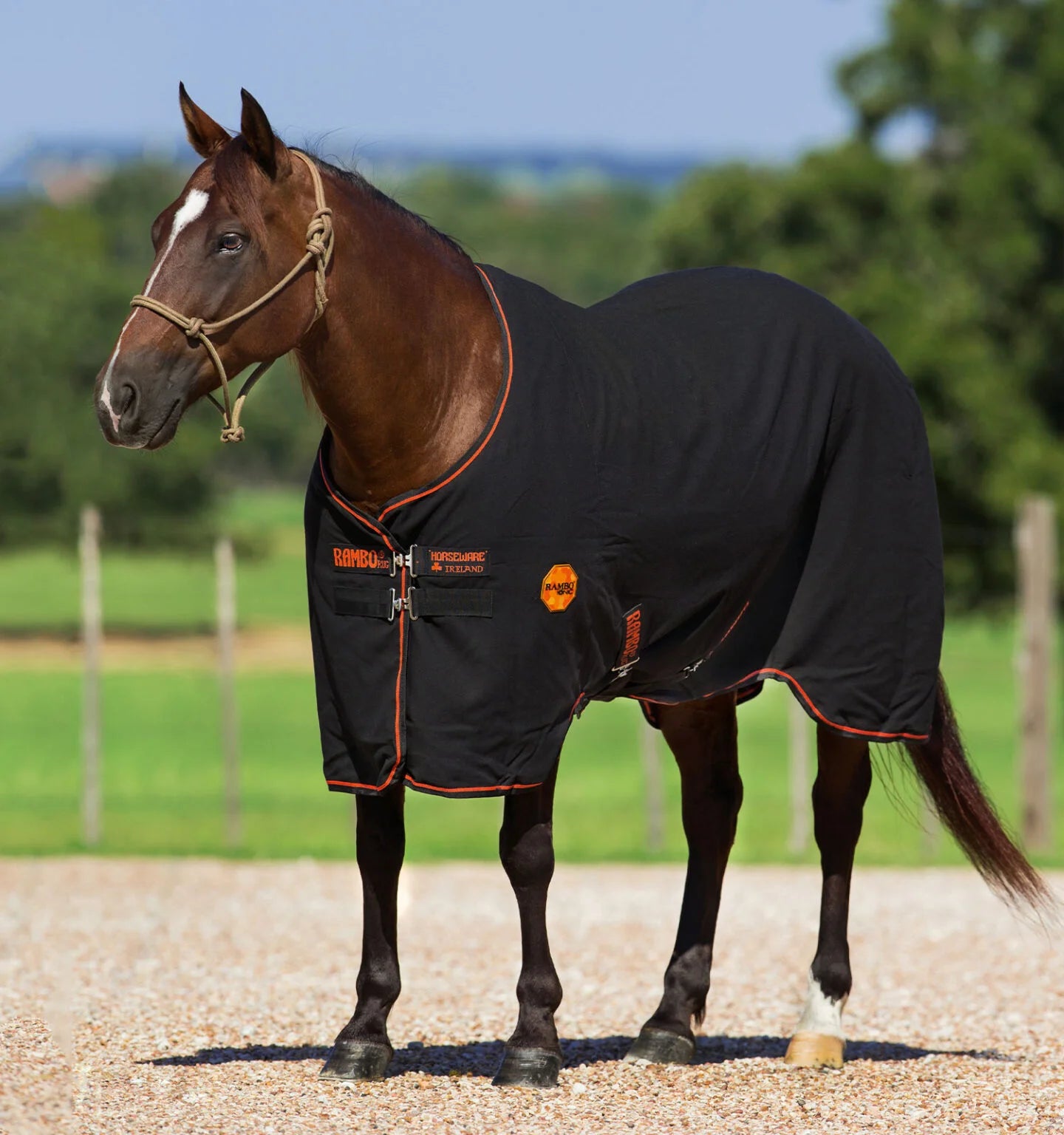 Rambo Ionic® Stable Sheet