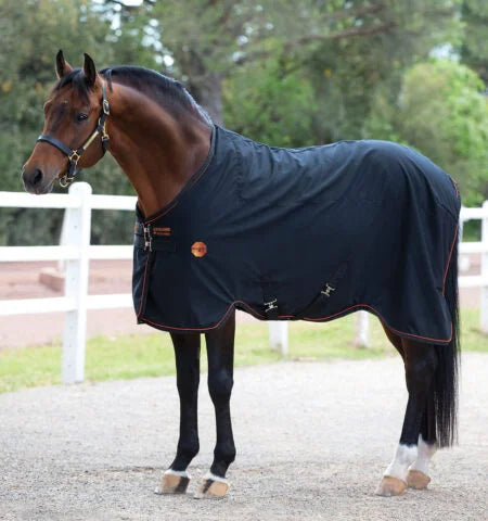 Rambo Ionic® Stable Sheet