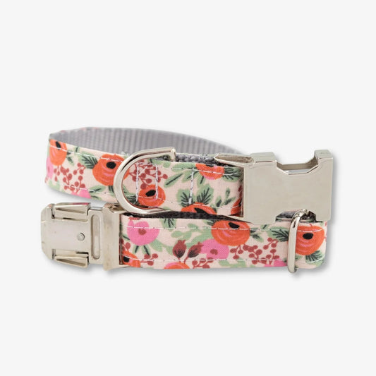 Rosa Dog Collar