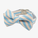 Cabana Bow Tie Dog Collar
