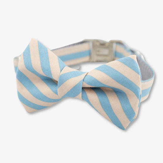 Cabana Bow Tie Dog Collar