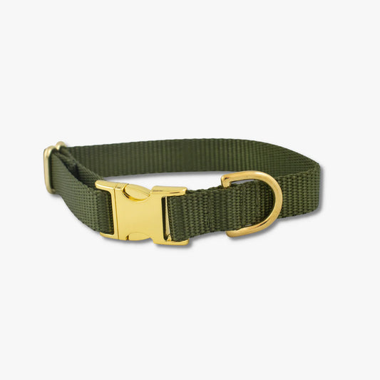 Ranger Dog Collar