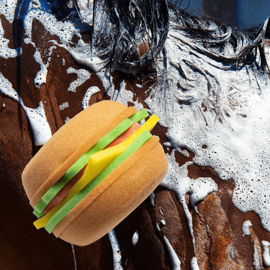 Burger Grooming Sponge
