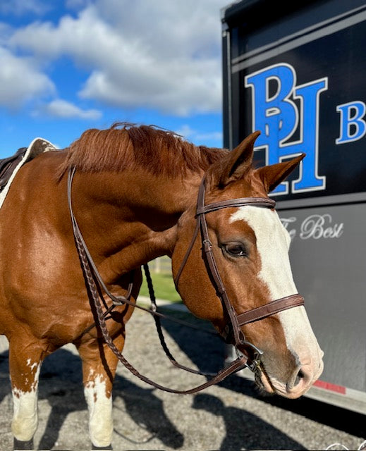 BH Hunter Bridle